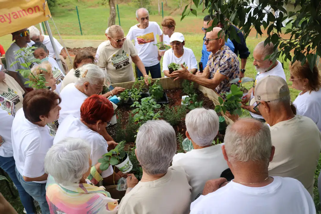 Participantes compartiendo alrededor de un cantero con plantas.